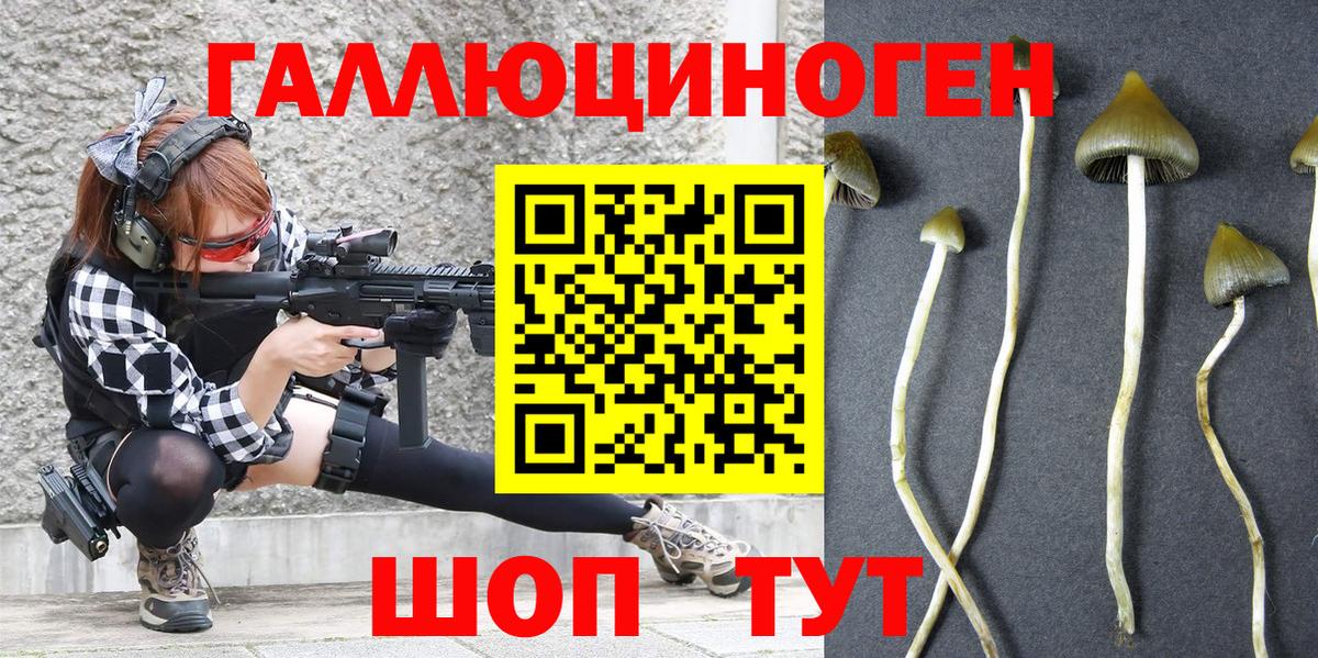 Псилоцибиновые грибы Psilocybine cubensis  Вход с VPN  Белая Калитва 